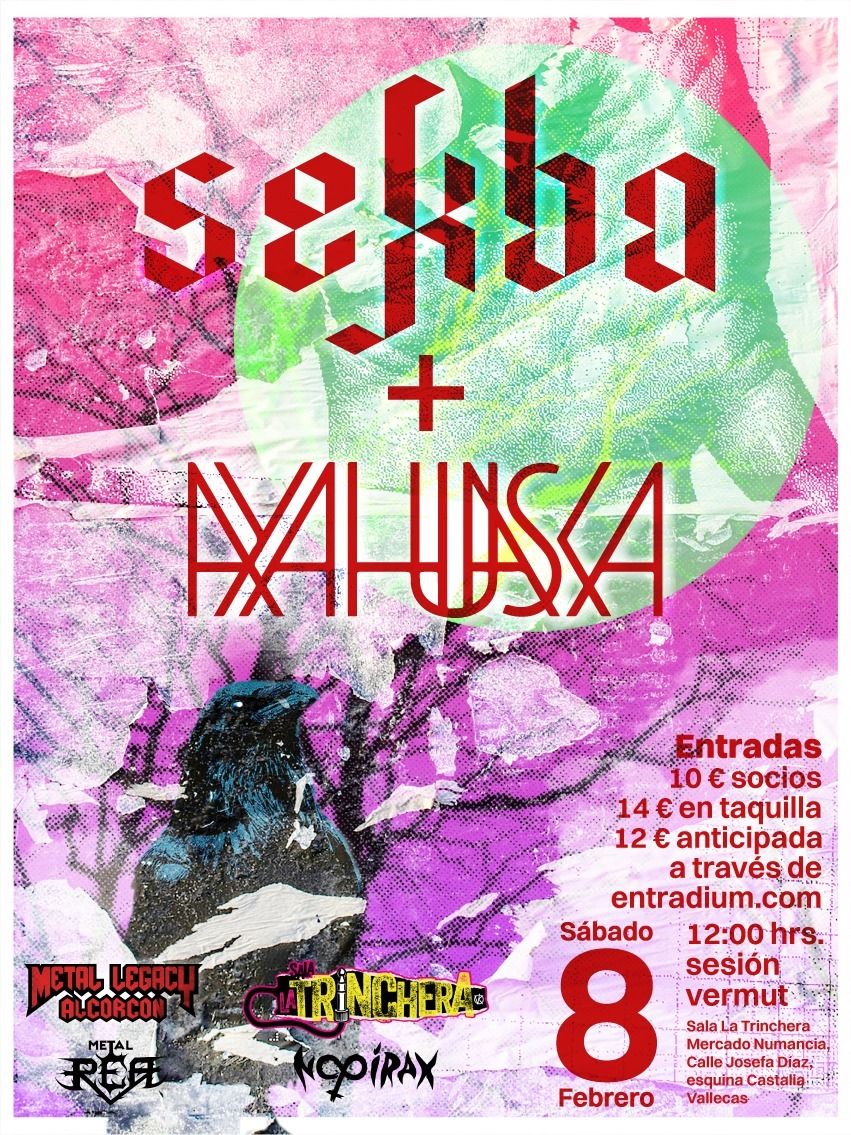 Concierto Sekba y Ayahuasca, 08 de Febrero de 2025