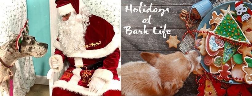 Free Santa Pictures @ Bark Life! Locations in details