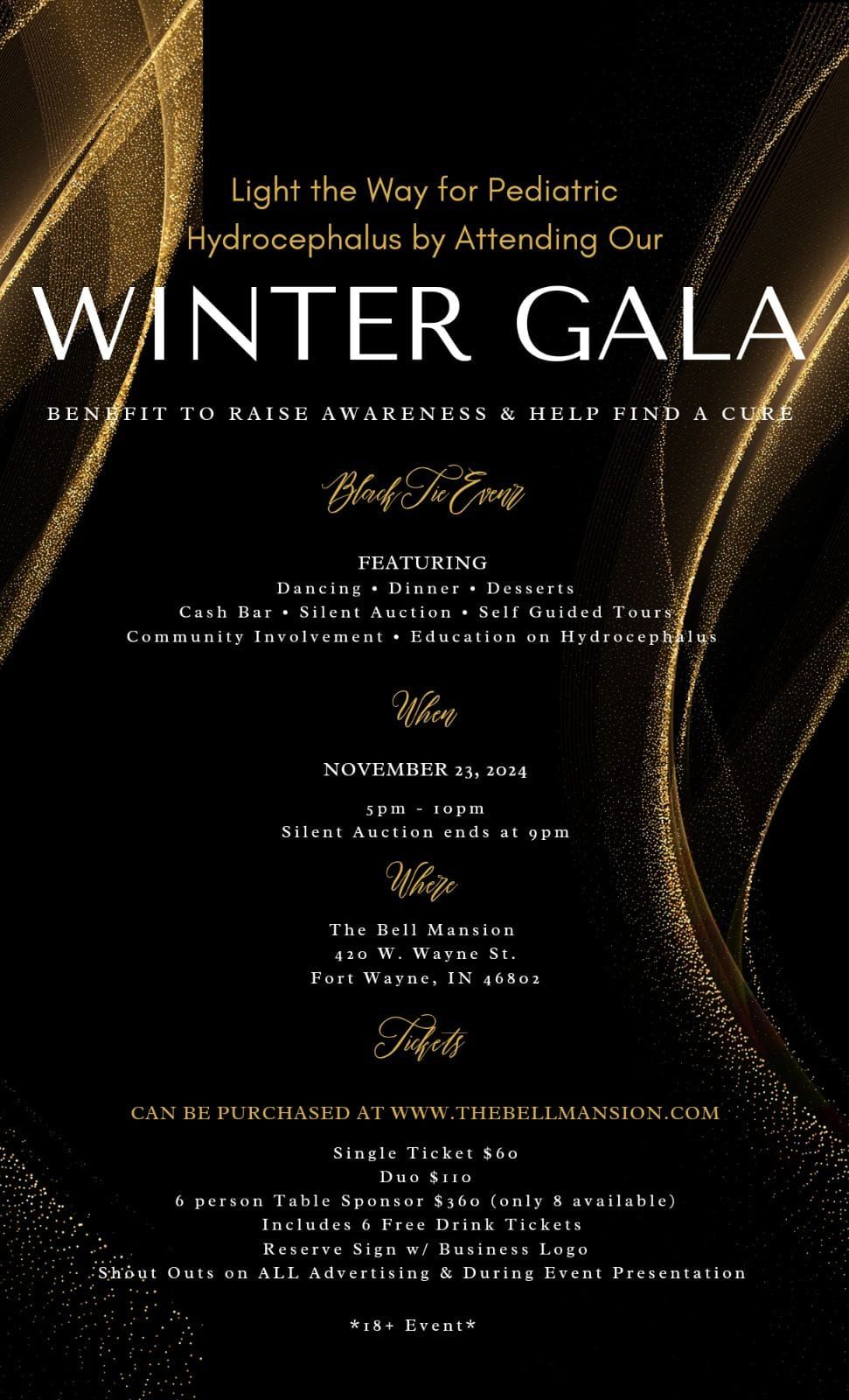 Winter Wonderland Gala: A Night of Elegance and Purpose