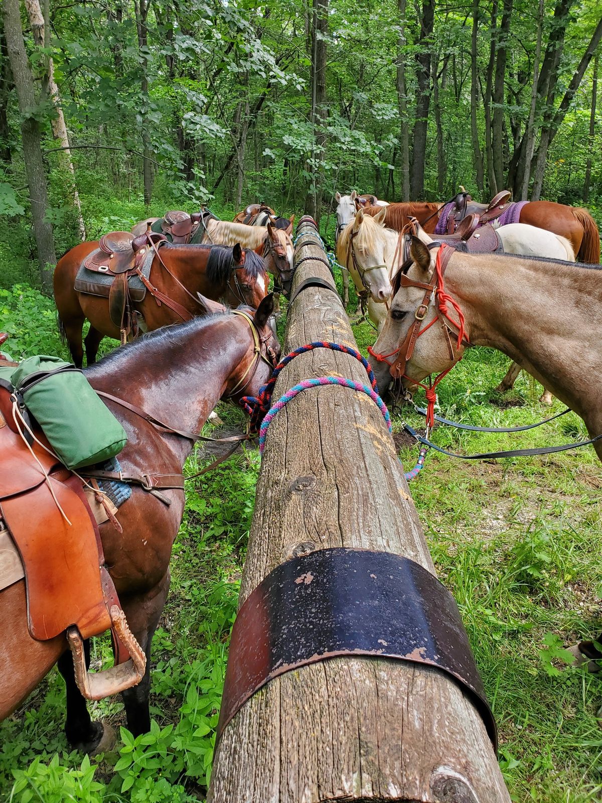Women's Equestrian Retreat