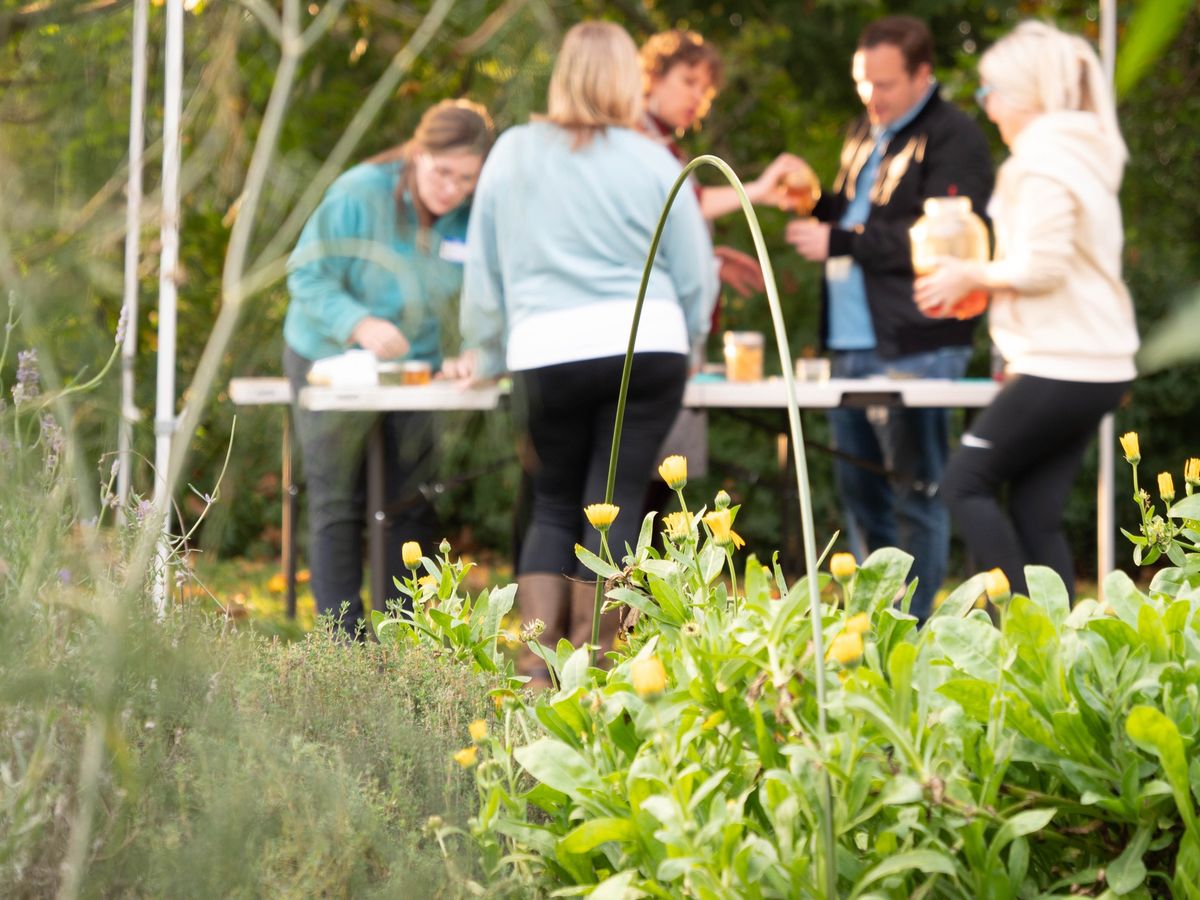 DIY Herbalism Program