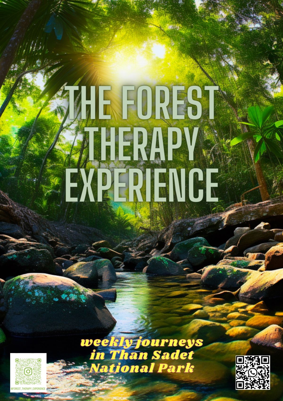 The Forest Therapy Experience