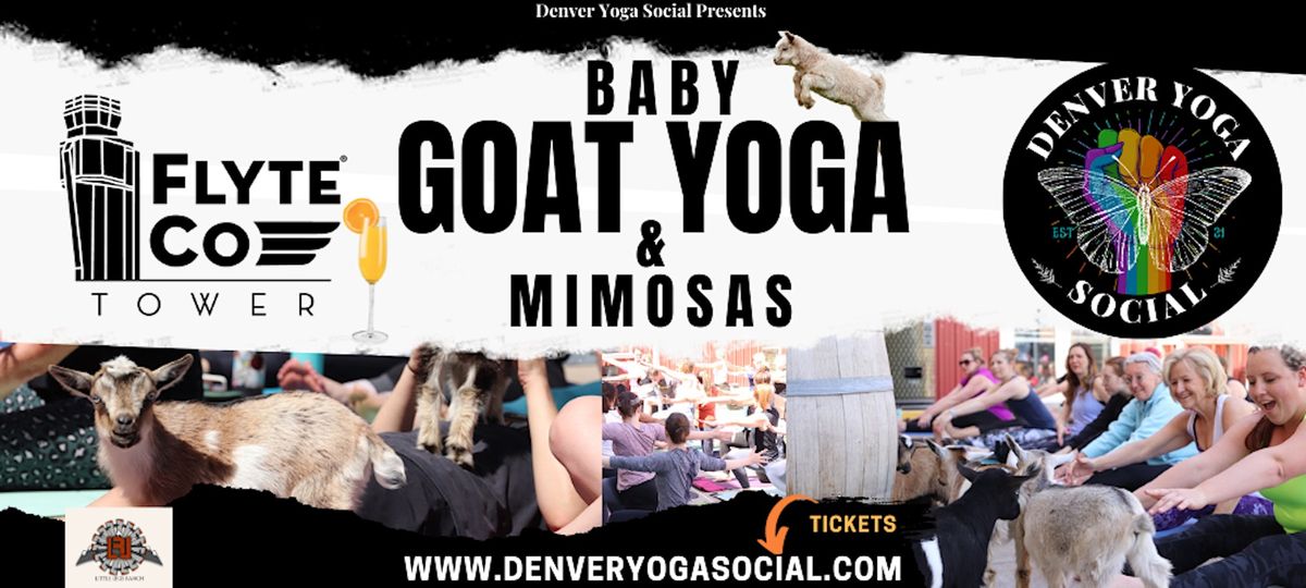 Baby Goat Yoga & Mimosas - Flyte Co Towers
