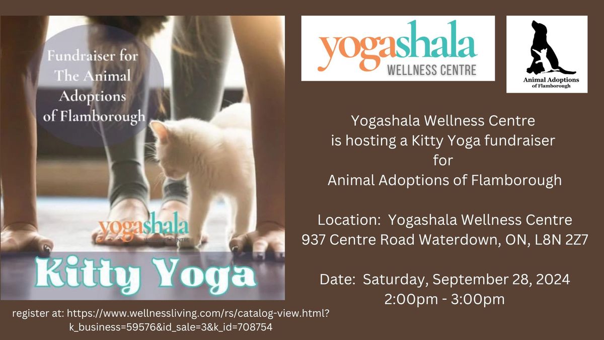 Yogashala Wellness Centre Kitty Yoga fundraiser for Animal Adoptions of Flamborough