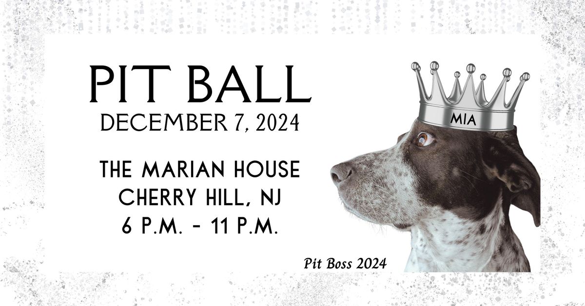 3rd Annual Pit Ball