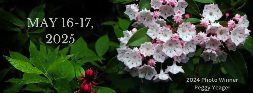 Tennessee Mountain Laurel Festival