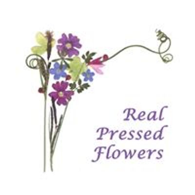 Real Pressed Flowers