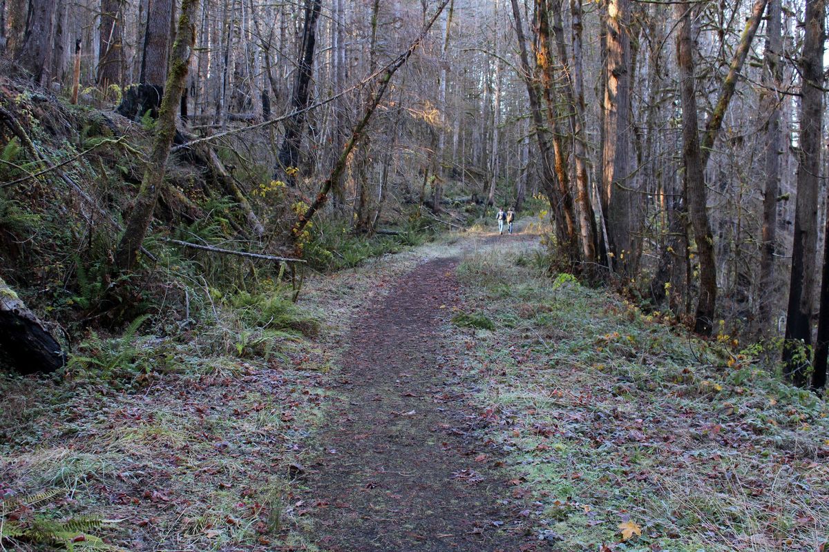 Hike: North Umpqua Trail (Swiftwater Segment)