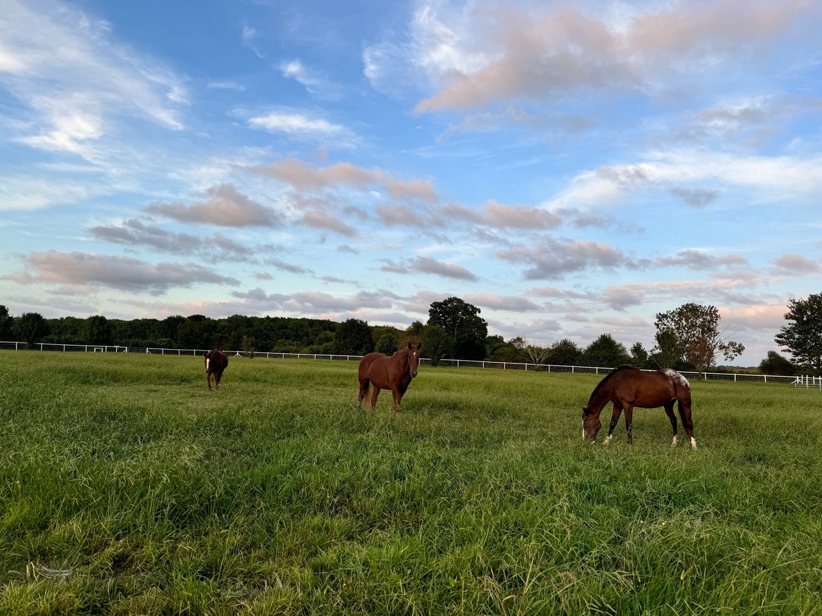 MILSPO Support Group at the Farm