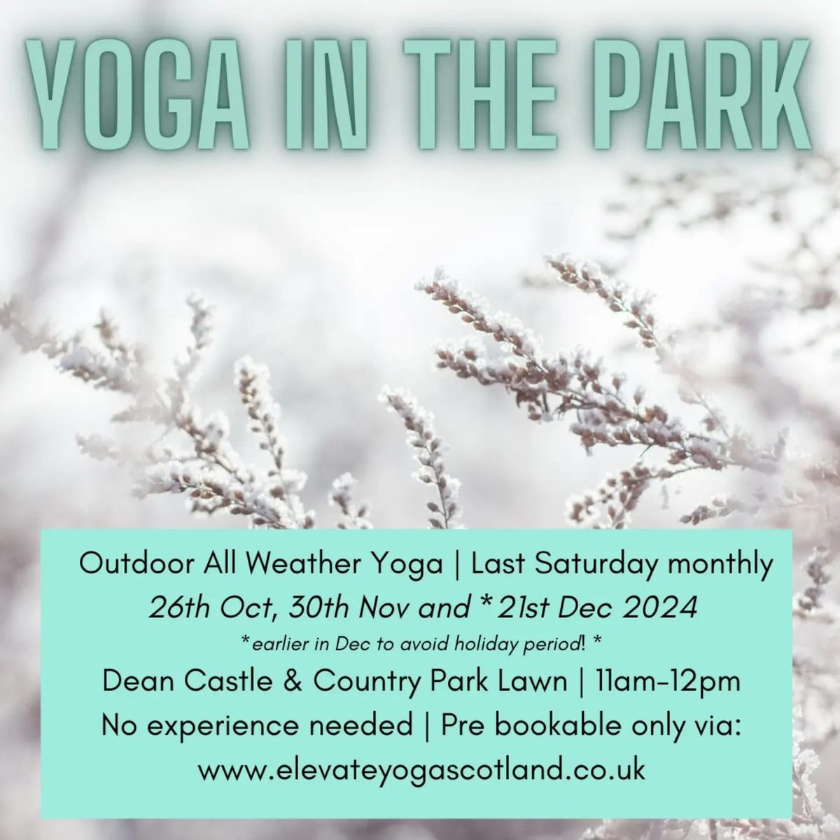 Winter Yoga In The Park