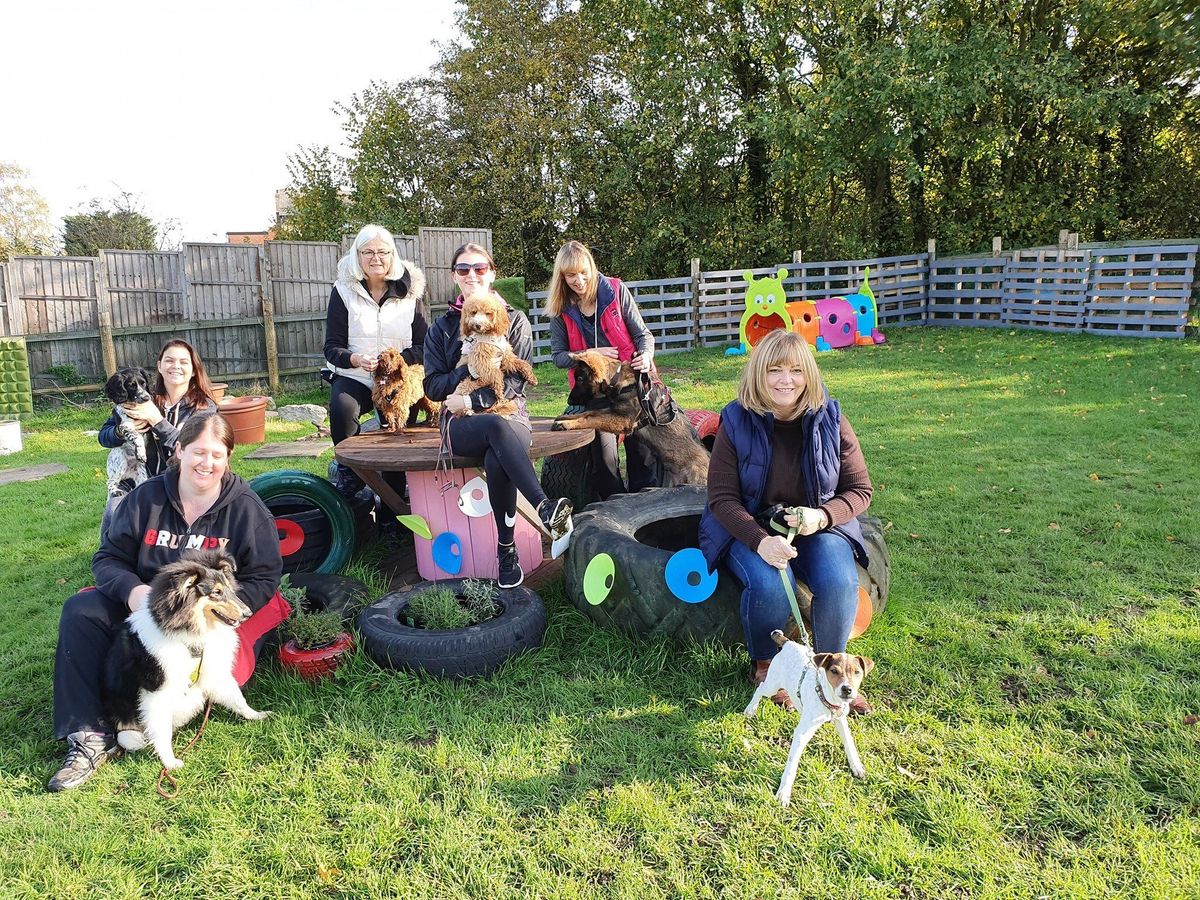 Puppy Classes Harlow Garden Centre
