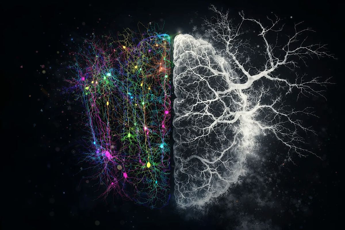 Neurociencia y creatividad