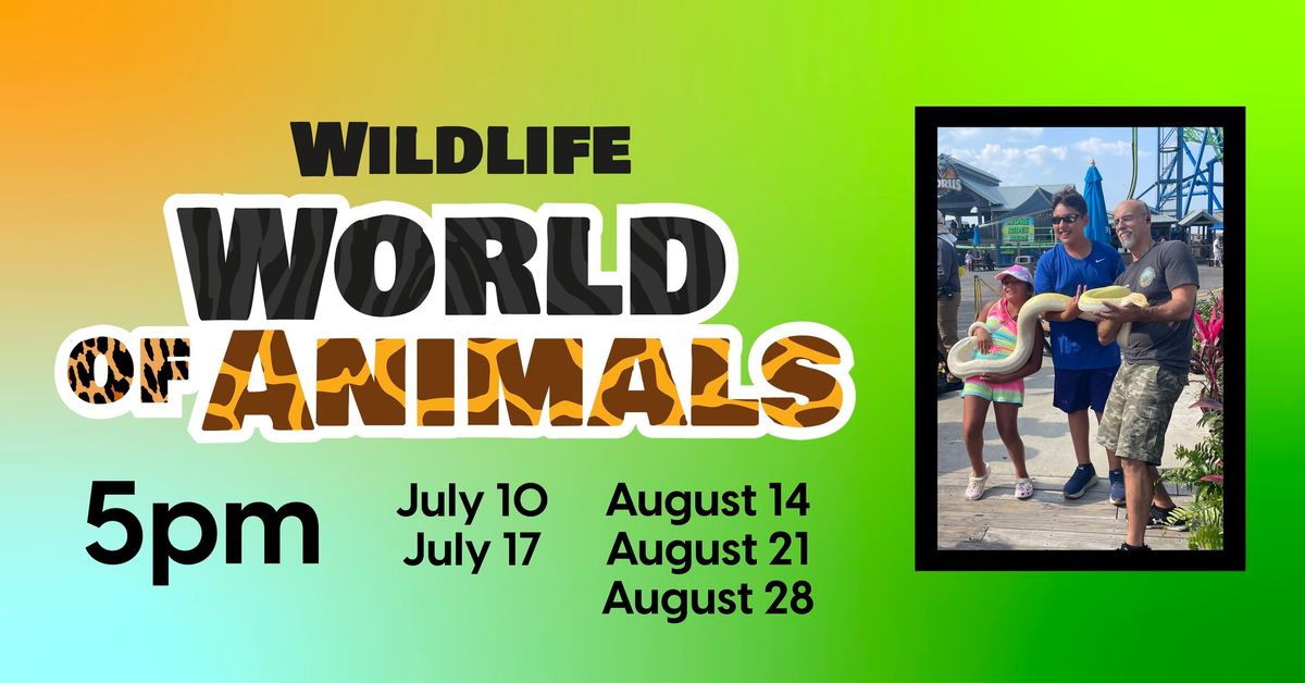 Wildlife World of Animals