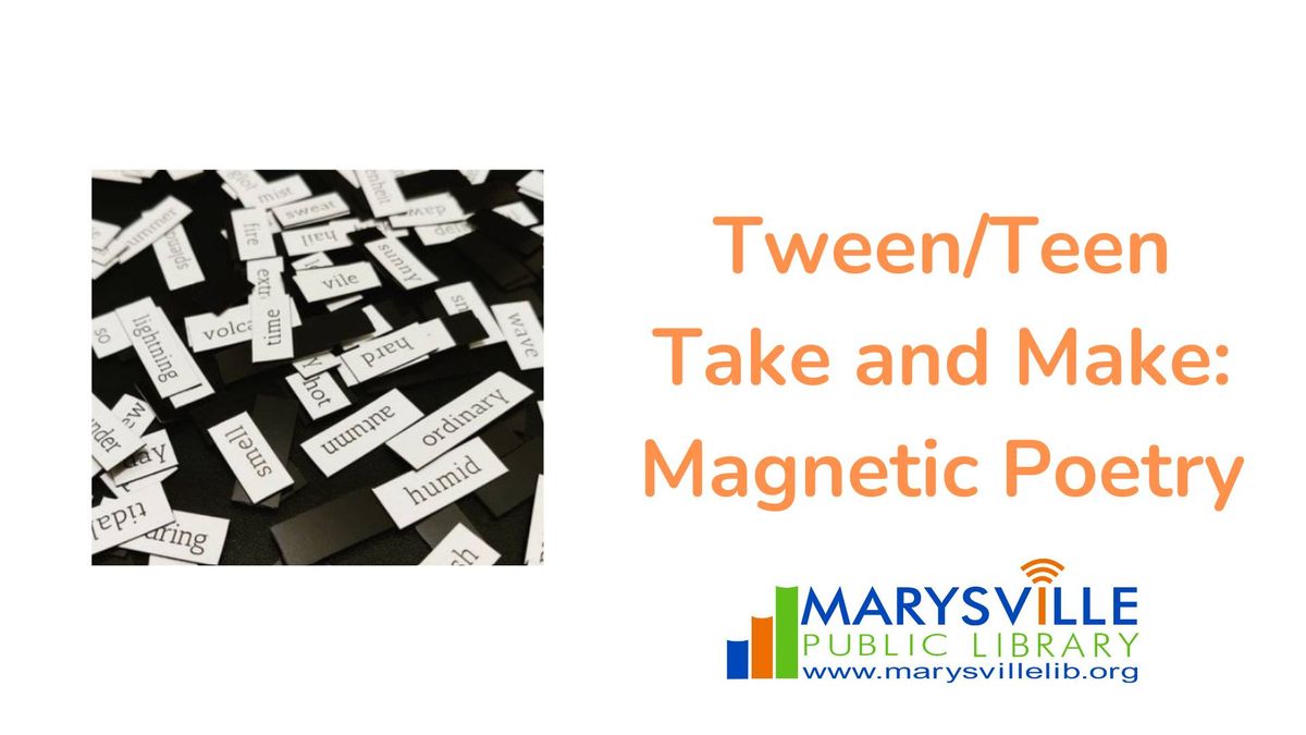 Tween\/ Teen Take and Make: Magnetic Poetry