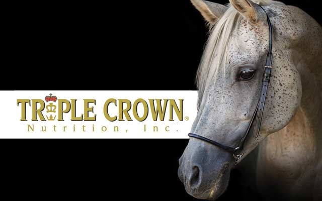 Triple Crown - Ask the Rep Event