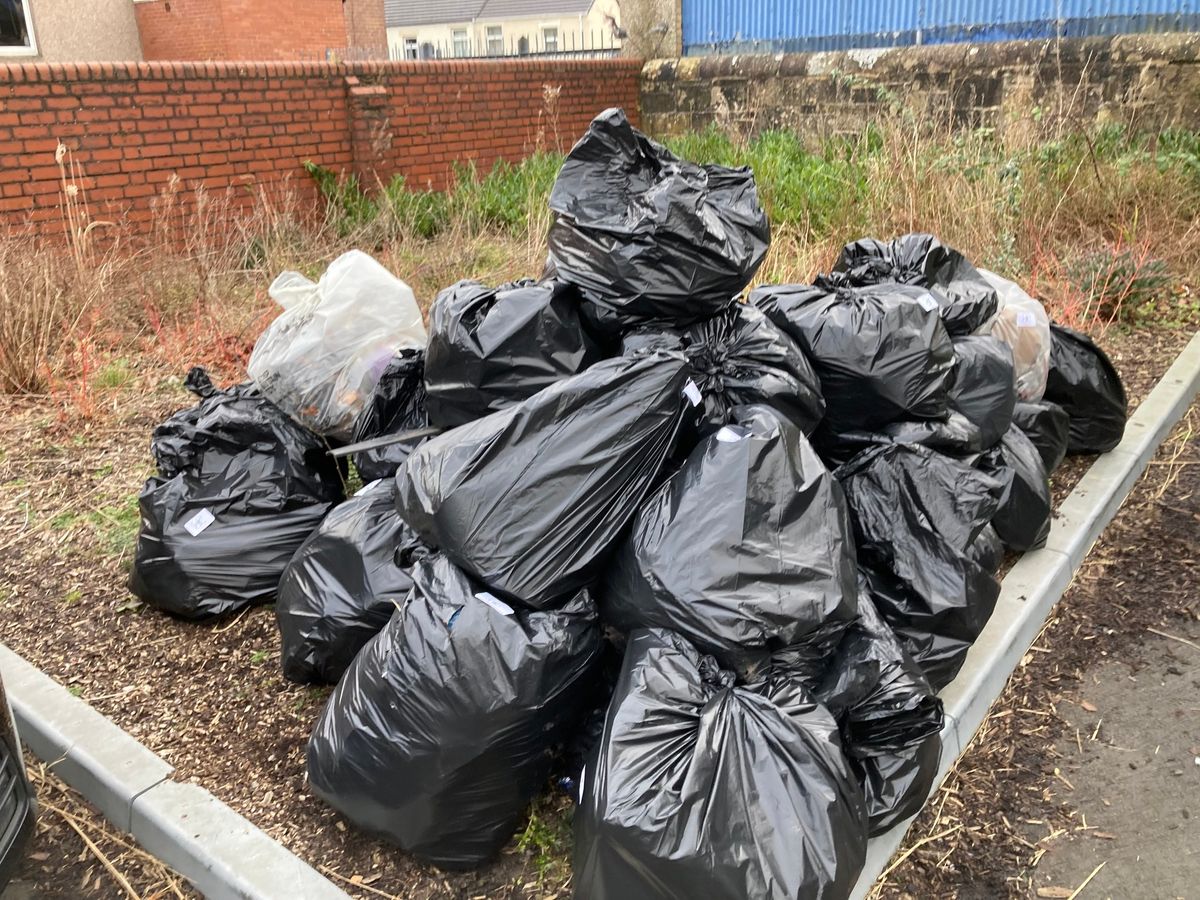 Morpeth litter group: litter blitz #3