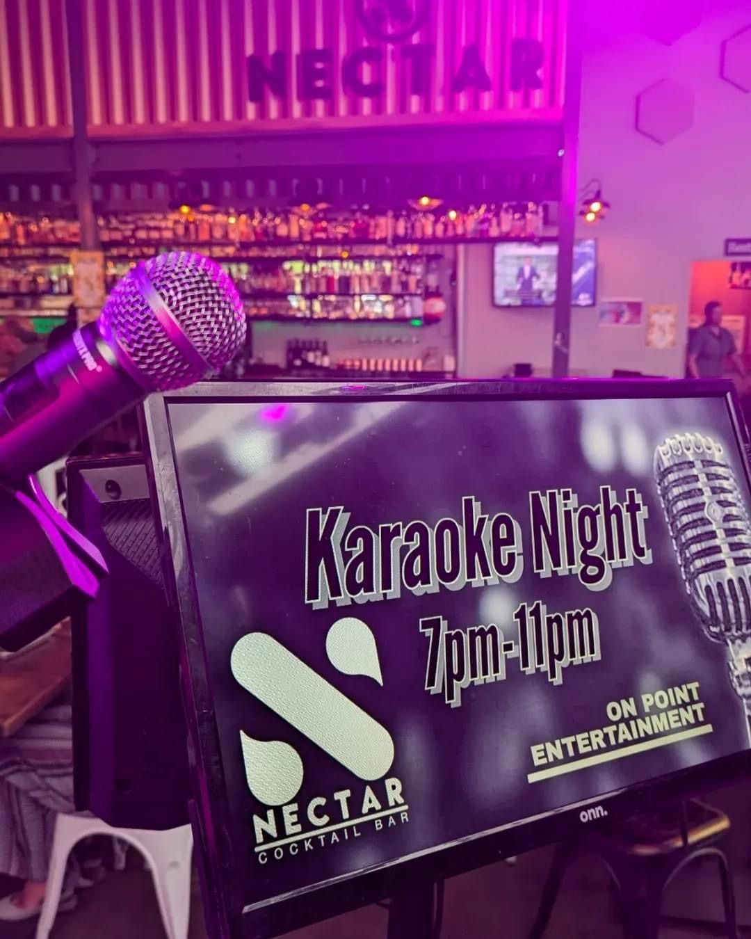 Karaoke Best in Loudoun! 