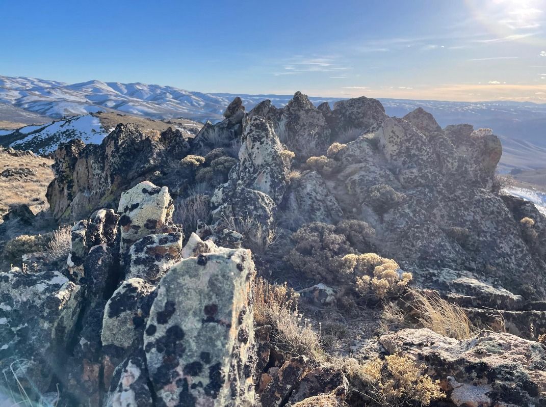 Doyle Mountain Hike - Boise, ID