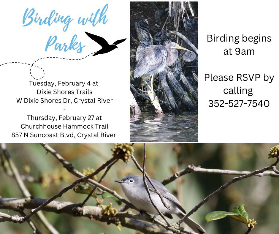 Birding with Parks ~ Dixie Shores Trail