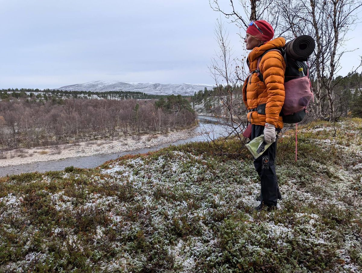 Lunsjklubben: nasjonalpark-turer i Finnmark