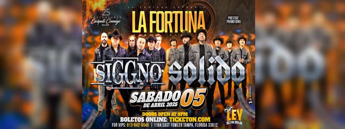 SIGGNO & SOLIDO 