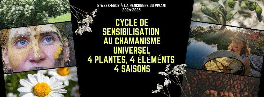 Cycle de sensibilisation au chamanisme universel