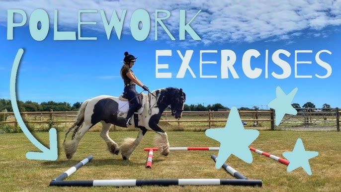 Cornwall Trec Group Winter Training, Flatwork with Poles, with Cassy Gadbsy - 5 