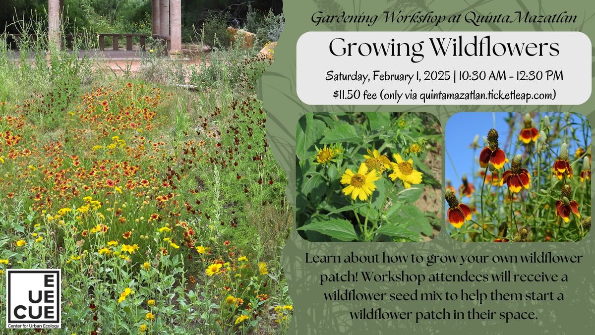 Growing Wildflowers Workshop