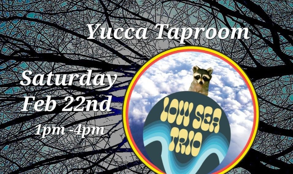 Yucca Saturday Party