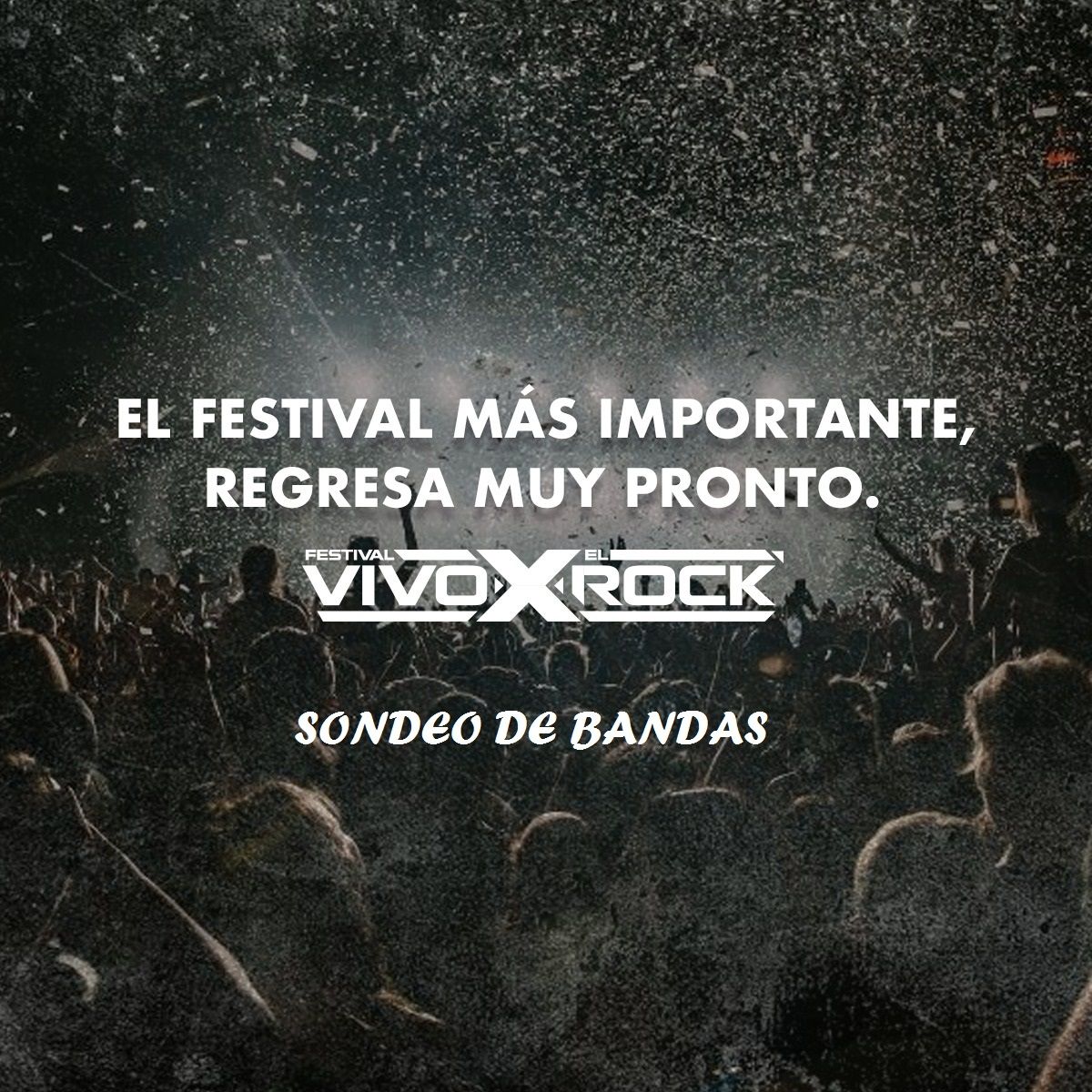 Festival VIVO X El ROCK 2024 (SONDEO DE BANDAS)