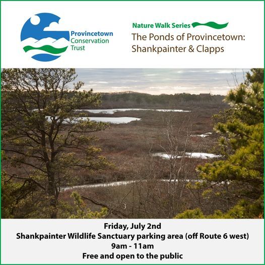 Nature Walk: The Ponds of Provincetown