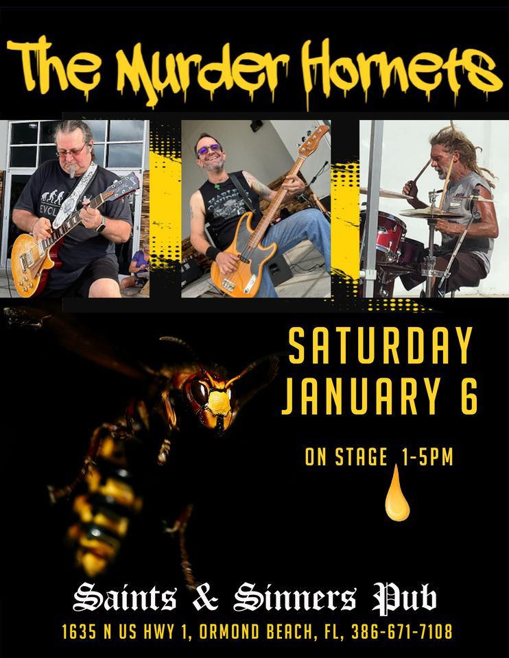 Saturday Afternoon with The Murder Hornets Band