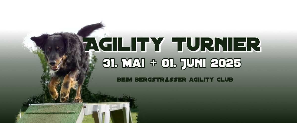 Agility Turnier + DVM Qualiturnier BaW\u00fc