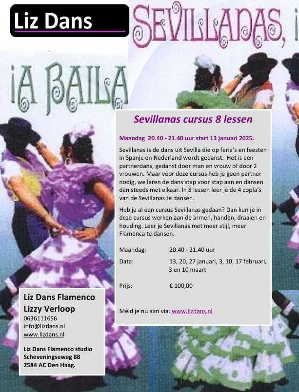 Sevillanas cursus beginners - start 13 januari 2025