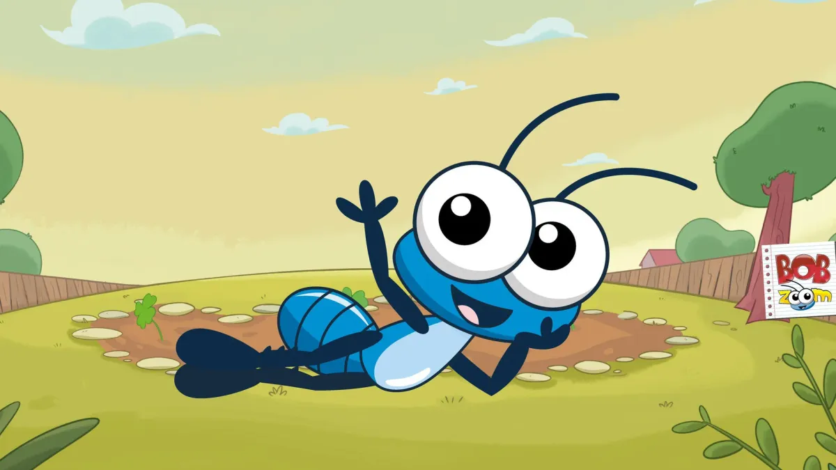 Bob Zoom in S\u00e3o Paulo