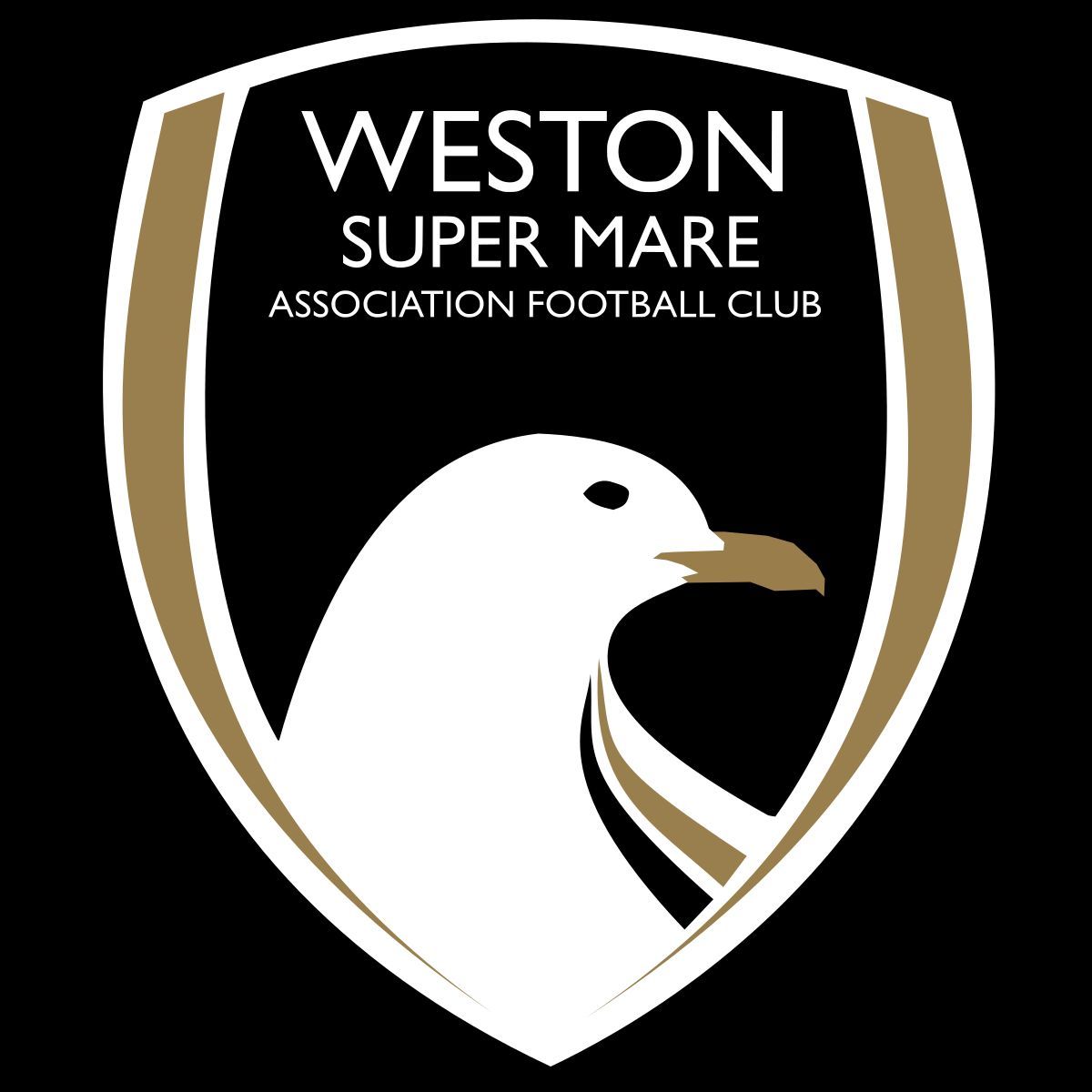 Weston Super Mare (FA Trophy 2)