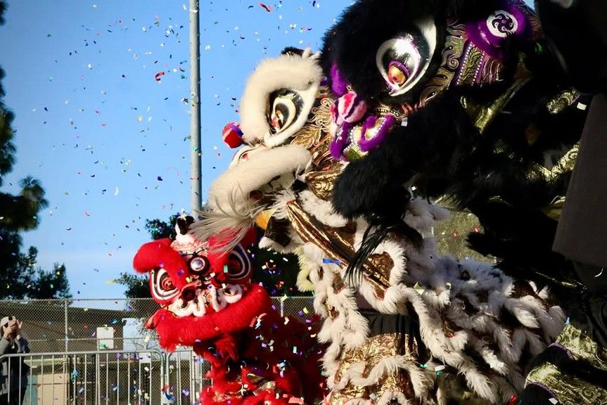 Lunar New Year  Lion Dance Performance