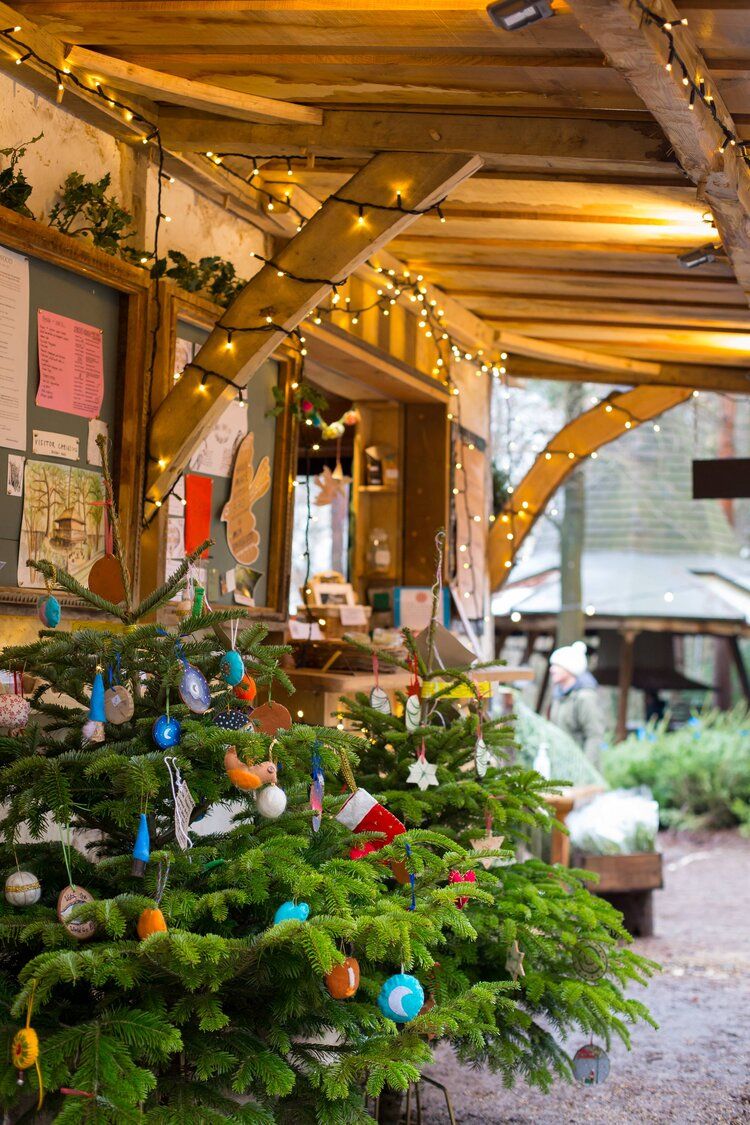 Christmas Trees and Winter Fayre