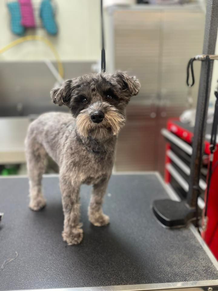 April Walkin Nail Clinc, Pet Food Center, Evansville, 5 April 2023