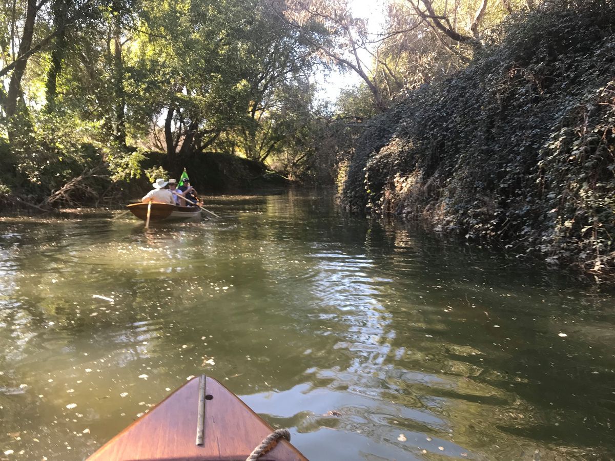 Upper Napa River Row & Roister