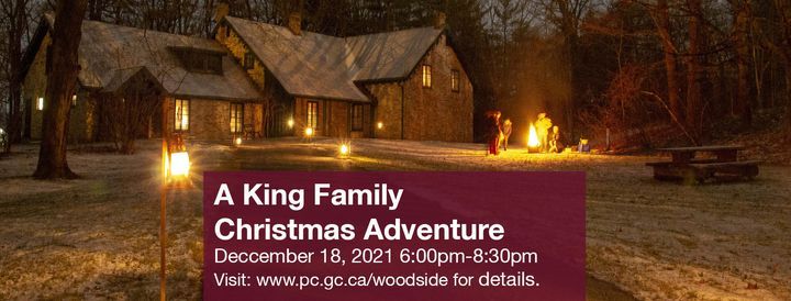 A King Family Christmas Adventure