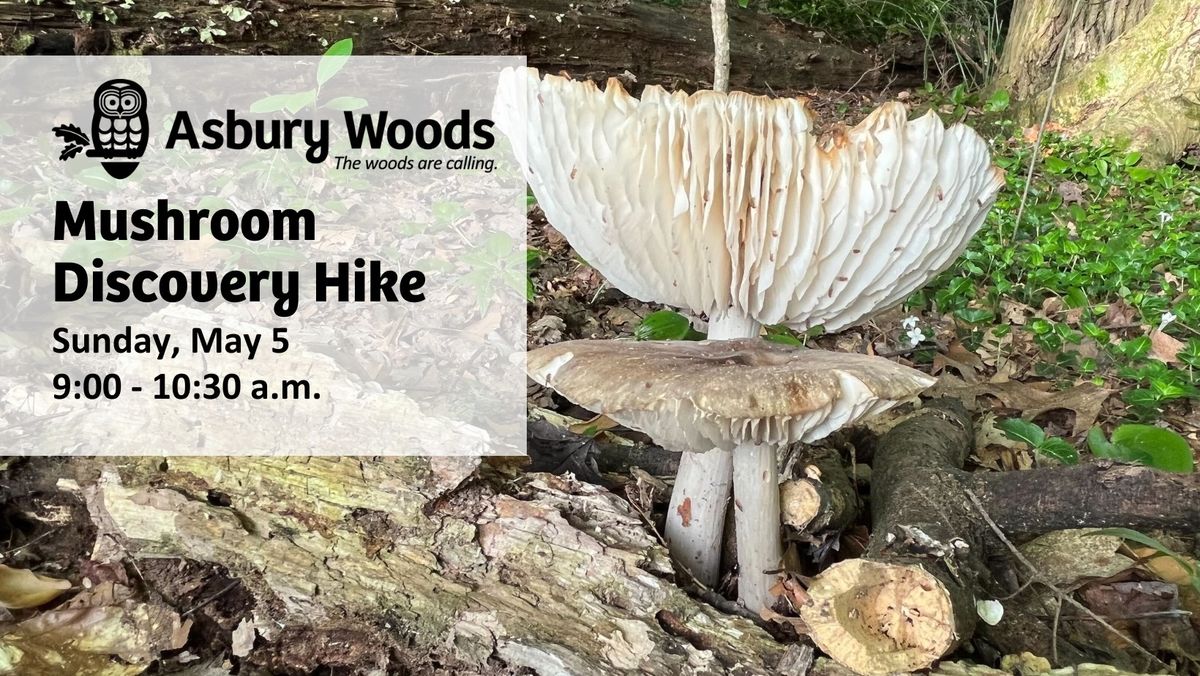 Mushroom Discovery Hike
