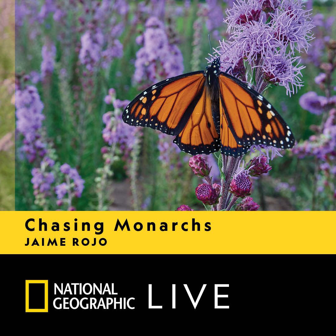 Chasing Monarchs - Jaime Rojo at Bank Of America Performing Arts Center - Fred Kavli Theatre