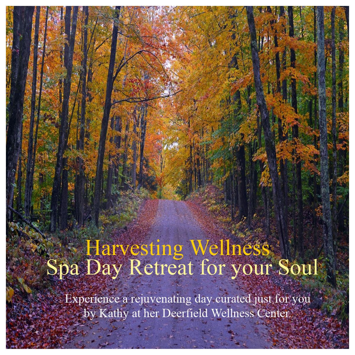 Harvesting Wellness :a Day Retreat to Nourish Your Mind, Body, and Soul.