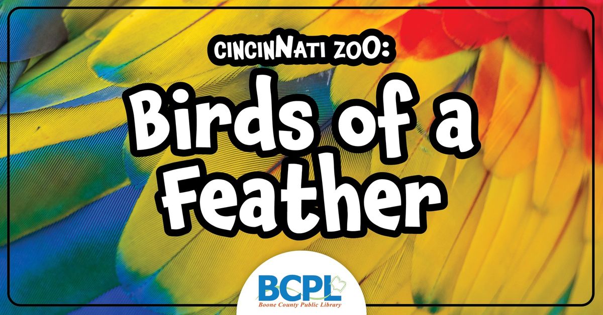 Cincinnati Zoo: Birds of a Feather - family