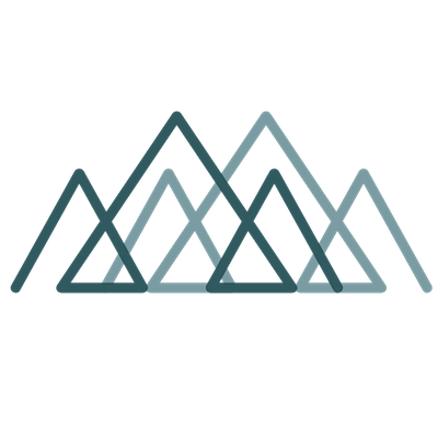 Problem Solving Institute