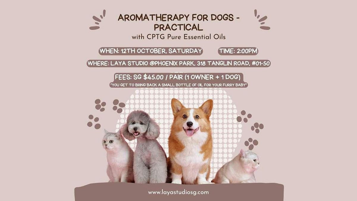 Aromatherapy For Dogs