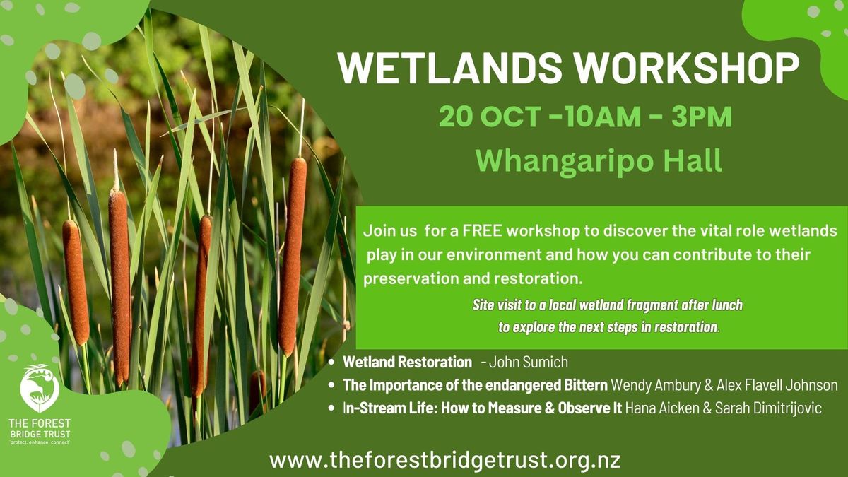 Wetland Workshop