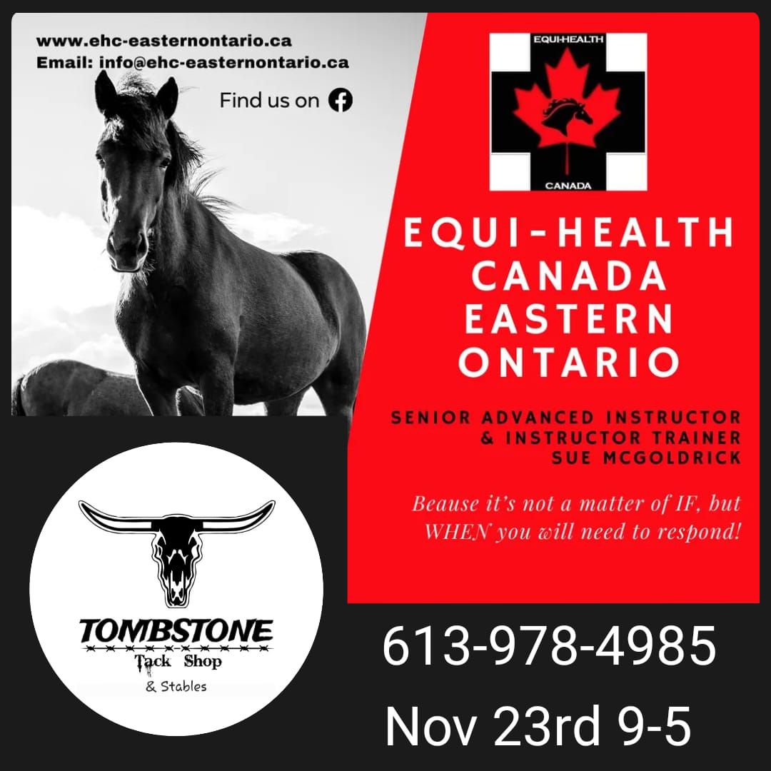 Emergency Equine First Aid  \u2606 Sue McGoldrick 