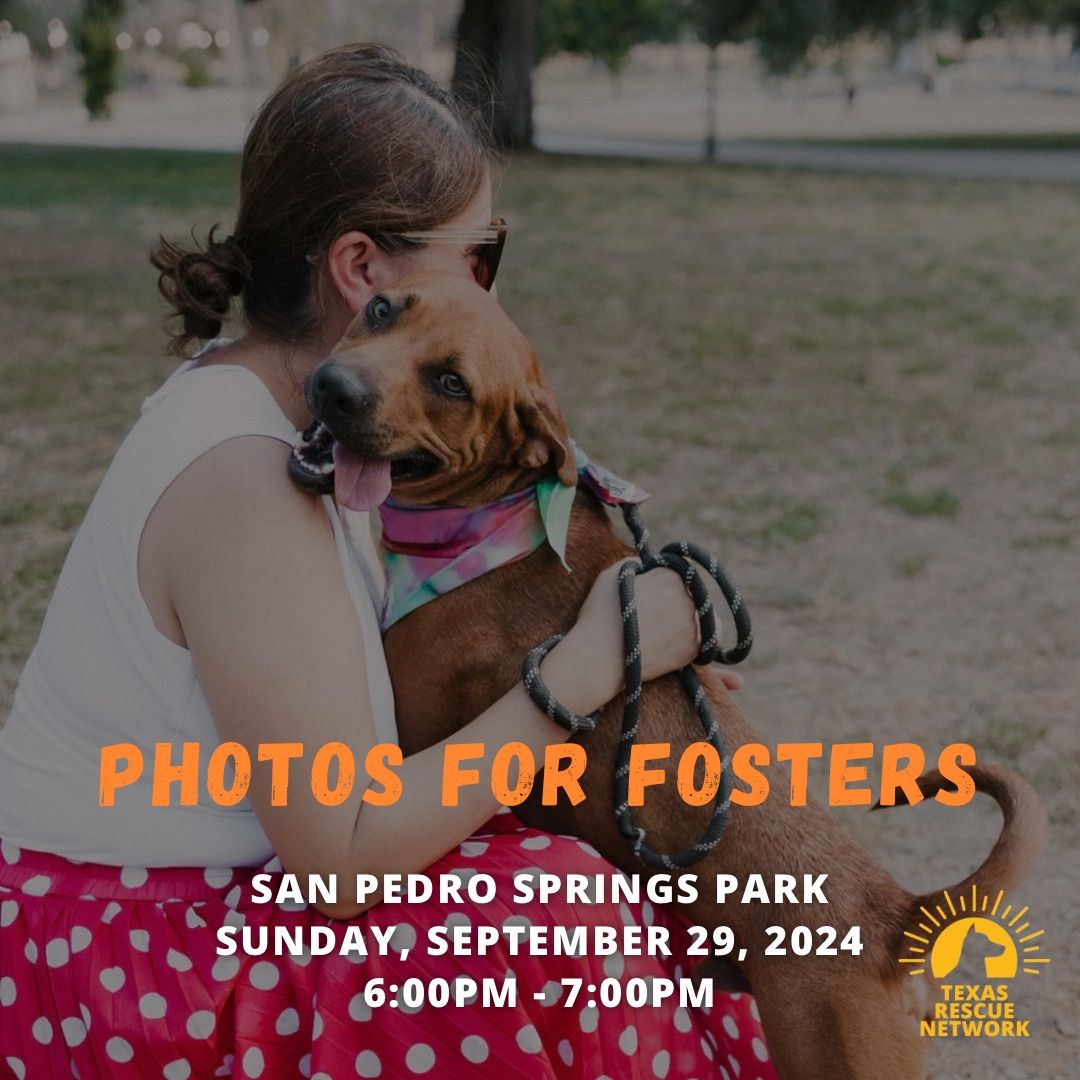 Photos for Fosters - September 2024